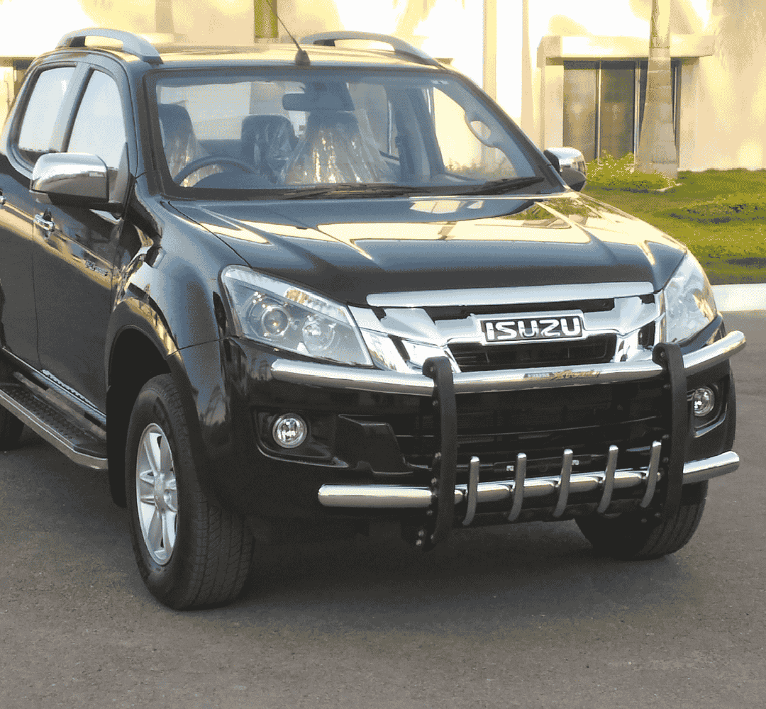 gb102+dmax
